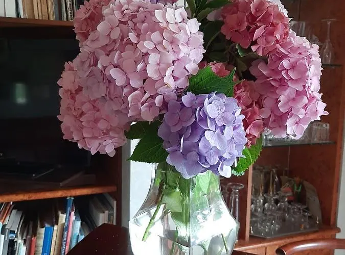 호텔 A L'ombre Du Mont St Michel 3*