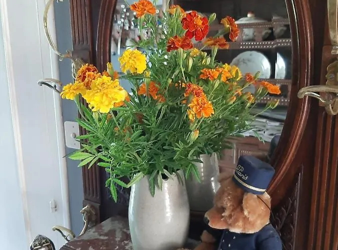 A L'ombre Du Mont St Michel 3*