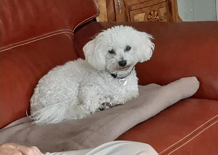 호텔 A L'ombre Du Mont St Michel Huisnes-sur-Mer