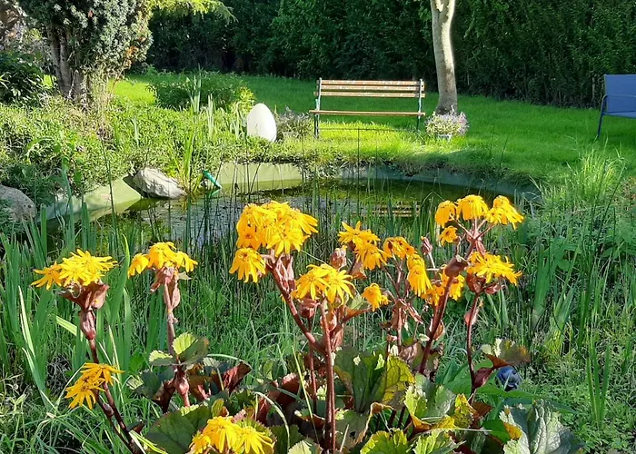A L'ombre Du Mont St Michel 호텔 Huisnes-sur-Mer